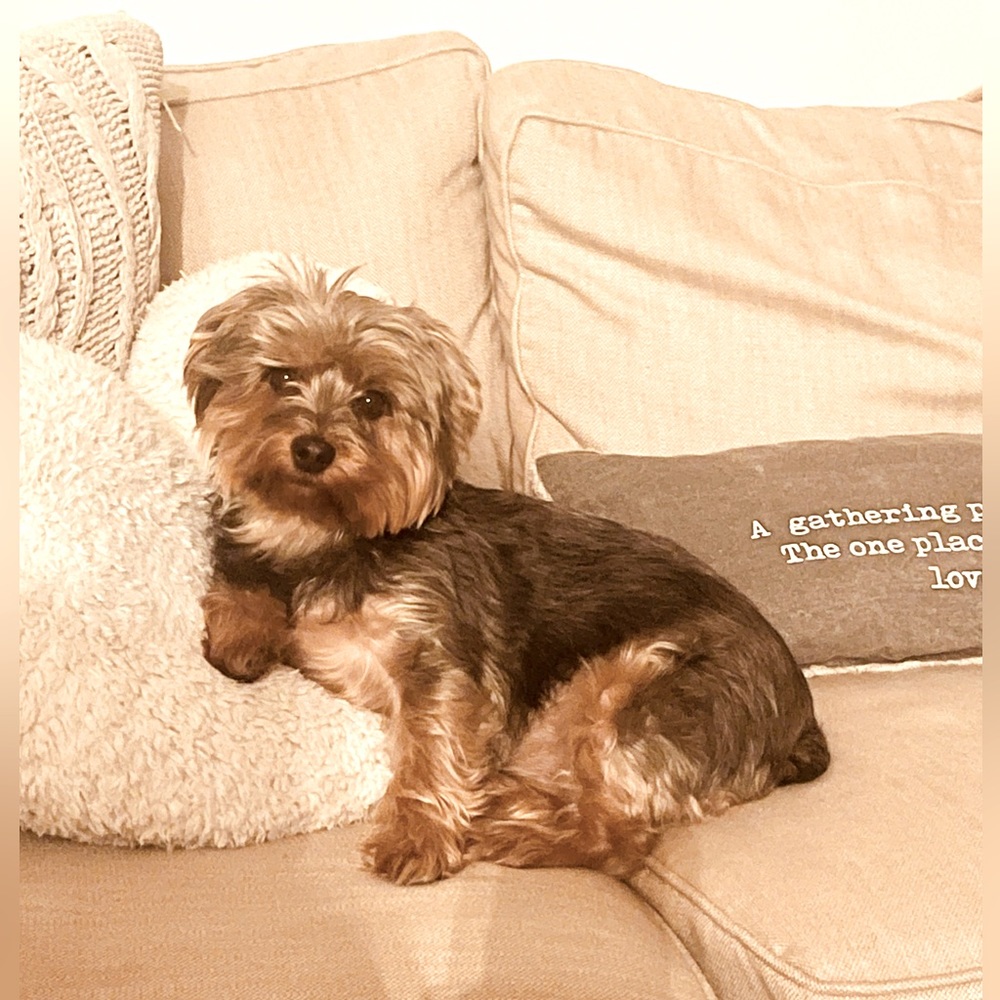 Meet your Posher, Charlene